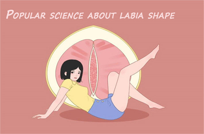 Popular science on labia shape||Do you know your private parts?