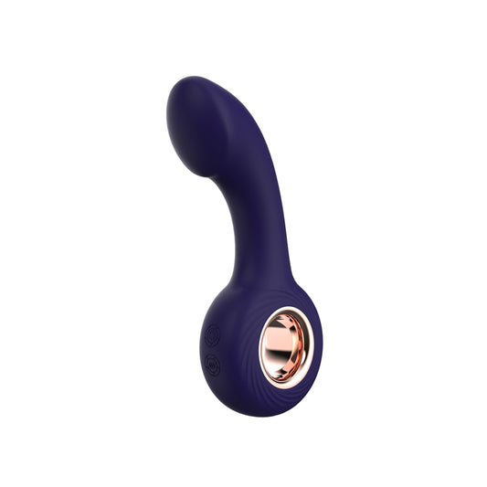 Youngwill Prostate Anal Plug Massager G-spot Wand SM Handheld Ring