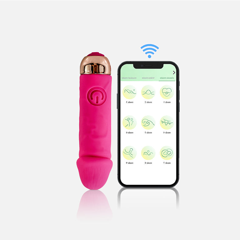 Youngwill-Realistic Mini Dildo Bullet Vibrator