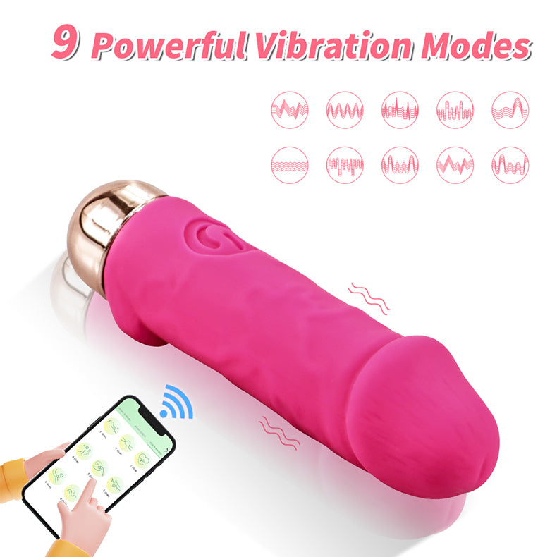 Youngwill-Realistic Mini Dildo Bullet Vibrator