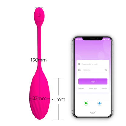 Youngwill APP Remote Love Egg Vibrator