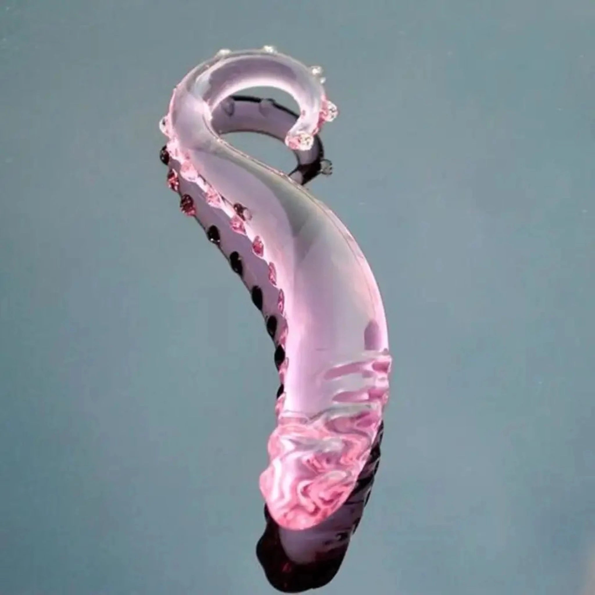 Hippocampus Shape Glass Dildo-front view